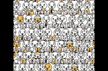 Tooooooo many cute bunnies