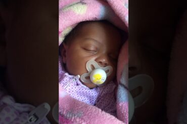 My cute cousin bunny is cute