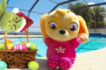 Skye Swimming Pool Adventure with The Easter Bunny