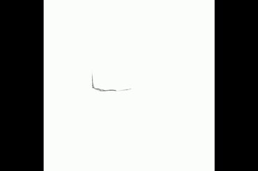 🌸 Cute Bunny Girl Speed Paint! 🌸