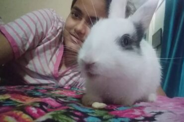 My cute rabbit ... eating banana........