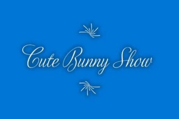 Cute Bunny Show