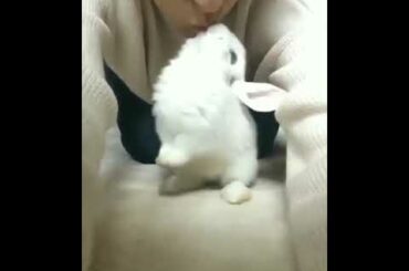 How cute is this rabbit 🐰