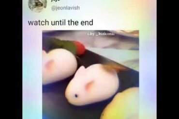 Like bts how cute the bunny like jungkook