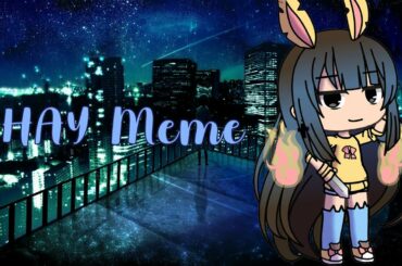 HAY Meme | Inspired by Ying (?) & OC Backstory | sunny bunny