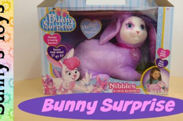 Bunny Surprise Nibbles by Just Play - How many baby bunnies will she have?