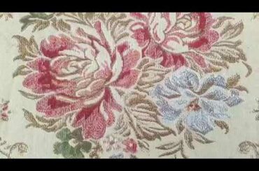 Little Cute white Rabbit