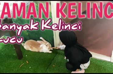 Cute Rabbit Park - Taman Kelinci Summarecon Bekasi