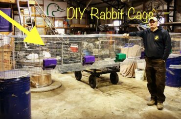 DIY Rabbit Cage Build (Part 2)