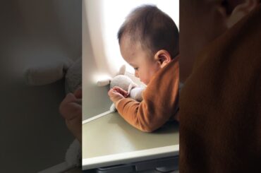 Ăn thịt thỏ trên máy bay - Eating rabbit on the plane