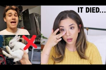 PET YOUTUBER REACTS TO JACOB FEDER'S RESCUED RABBIT 😭| What happened?