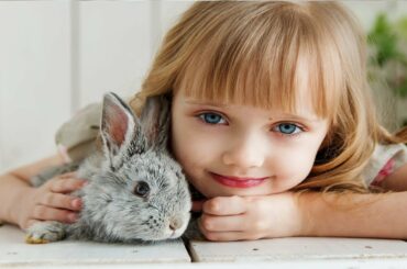 Very cute Rabbit #Amazing #claps