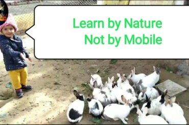 Baby with Rabbit। खरगोश के साथ शक्ति