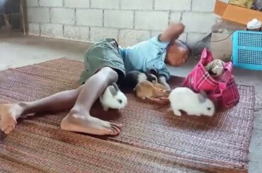 Baby Cute Rabbits  & Little boy