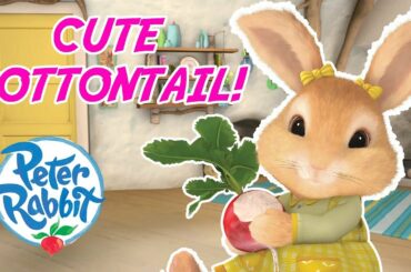 Peter Rabbit - Cottontail's Cutest Moments | Cartoons for Kids