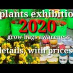 flowers, plants exhibition 2020//grow bags details, prices, //grow bagsఇక్కడ అమ్ముతారు