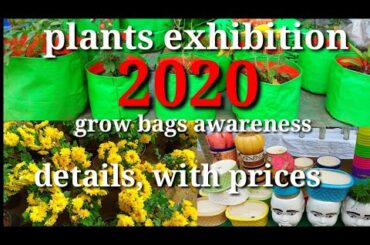 flowers, plants exhibition 2020//grow bags details, prices, //grow bagsఇక్కడ అమ్ముతారు