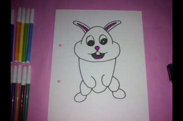 cute picture of rabbit (baby rabbit)