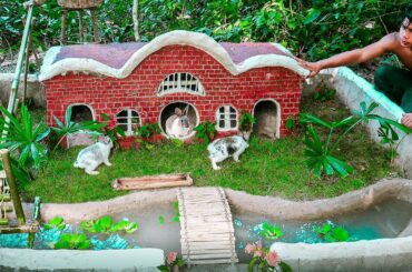 Building Mud Mansion For Wild Rabbit Grass Garden Fish Pond