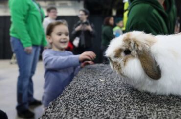 Super-Fuzzy Rabbit at the Pennsylvania Farm Show 2020