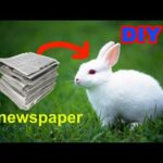 How to make rabbit with cotton using newspaper | Gk craft