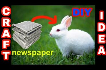 How to make rabbit with cotton using newspaper | Gk craft