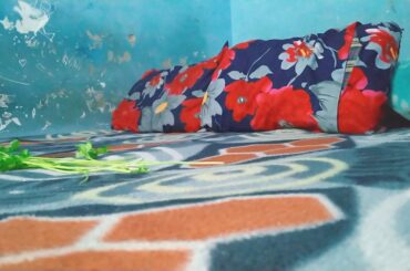 My Cute Bunny Enjoying Greens