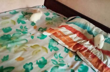 My cute baby bunny 😉