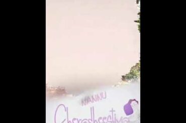 Bunny gaadu cute boy(2)