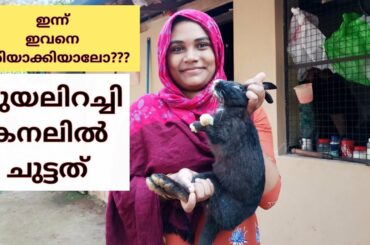 ആദ്യമായിട്ടാ.. ഞാനും 😅// Grilled Rabbit Recipe//Noufas.