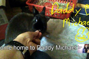Whiskers the bunny thinks she's a puppy??  Yep, and it's so cute!!!   Daddy loves you Michael!!!