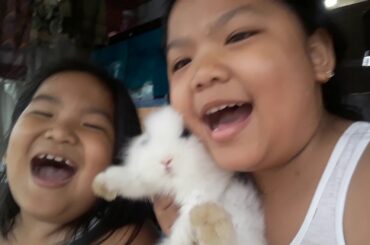 Ang cute ng bunnies!