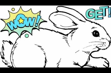 Cara Menggambar Kelinci