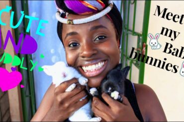 BABY RABBIT KITS FROM NEWBORN TO 14 DAYS ||  || Rabbit Farming in KENYA || OUR BIG SECRET REVEALED😁