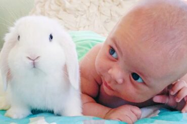 Cute Baby and Rabbits Playing Together - WE LAUGH
