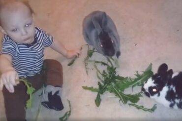 Snack time! Baby sweetly enjoys treats with bunny rabbits