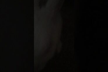 My rabbit 🐇 is very sick