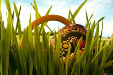 Easter eggs! the Easter Bunny! cutie is looking for surprises!