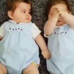 Cute baby's. 😍😍  WhatsApp status video!