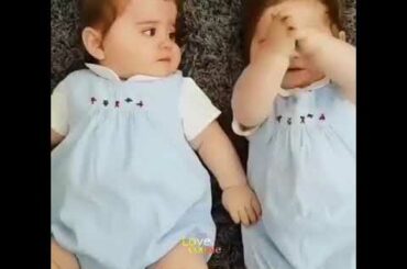 Cute baby's. 😍😍  WhatsApp status video!