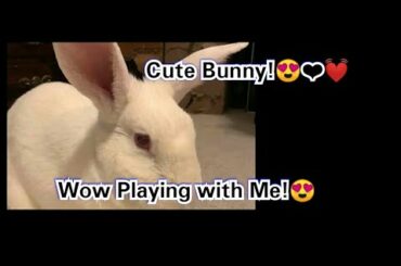 Playing With The CUTE Bunny and SHOUT OUTS FRIENDS!