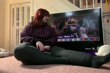 CUTE BUNNY MOMENTS | CUTE GUINEA PIGS | CREATURE CAVES