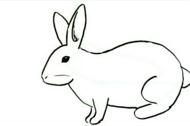 😃😃how to draw rabbit bunny | how to draw rabbit step by step | hindi_drawiidrawinghow | DCA Anime