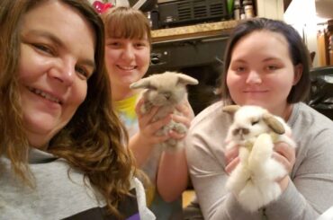Goat Babies and Bunnies|| It's A Homestead Update Filled With Smiles