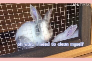 i edited a video of baby stormi & cloud 💞🐰🐇