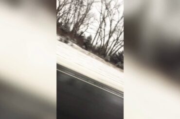 Taking My Rabbit to get a wheelchair and getting filmed by National Geographic Wild