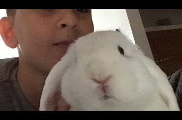 My cute bunny😍