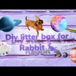 Diy litter box for rabbit 🐇