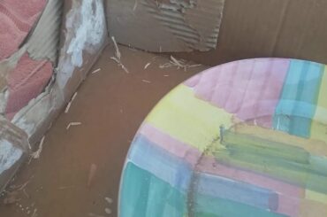 My bunny bros are so cute