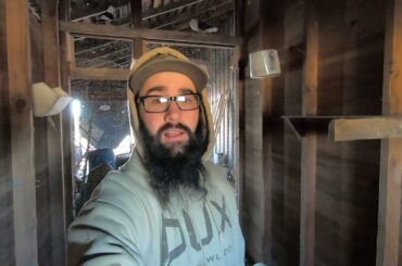 Pigeon Loft Update! (plus Rabbit Hunting)